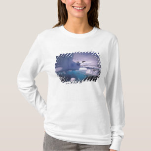 Camiseta Antártida. Paisagens de gelo antárticas 2