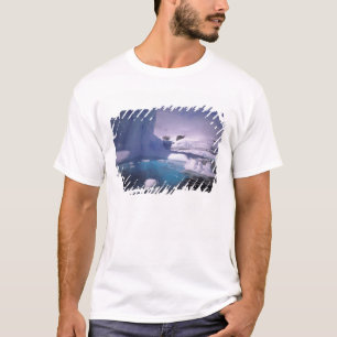 Camiseta Antártida. Paisagens de gelo antárticas 2