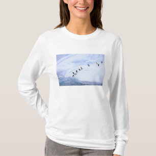 Camiseta Antártida, Península Antártica. Pinguim-de-barbich