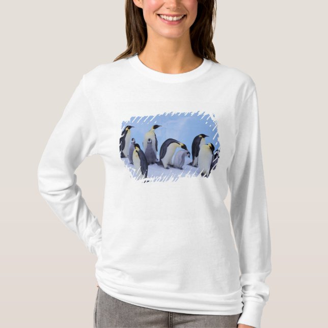 Camiseta Antártida, Pinguins Imperadores (Frente)