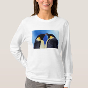 Camiseta Antártida, Pinguins Imperadores