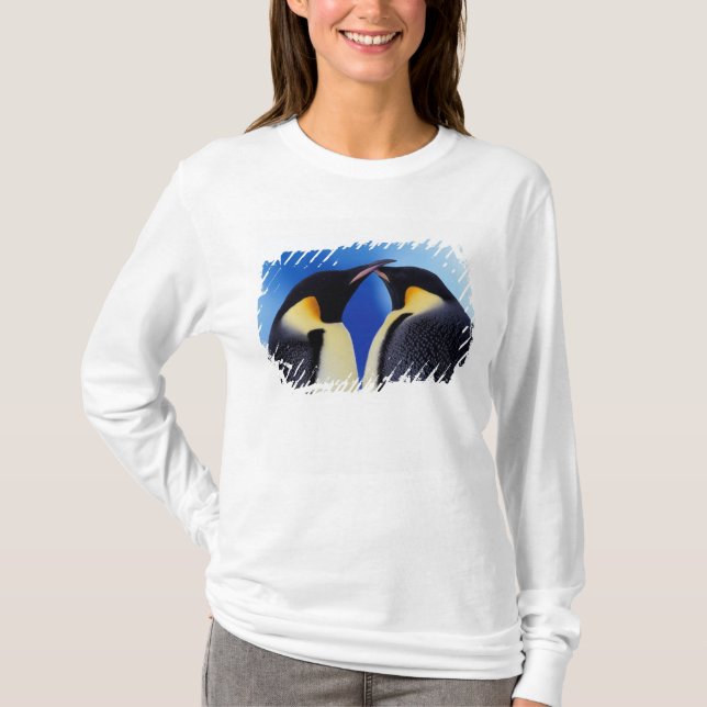 Camiseta Antártida, Pinguins Imperadores (Frente)