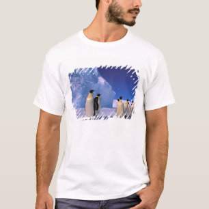 Camiseta Antártida, Território Antártico Australiano, 7