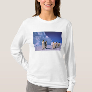 Camiseta Antártida, Território Antártico Australiano, 7