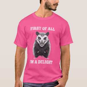 Camiseta Antes de Mais Nada, Sou Um Delícia - Possum Irrita
