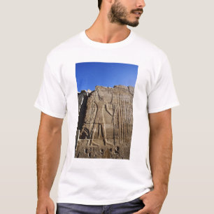 Camiseta Antigos hieróglifos na parede, Templo de Karnak,