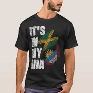Camiseta Antigua E Patrimônio Da Bandeira Do Mistério De DN