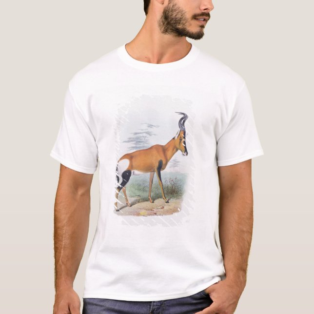 Camiseta Antílope, "do livro dos antílopes", (Frente)