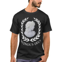 Antinous o Deus de Roma e Favorito de Adriano -