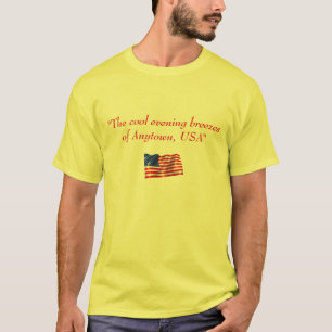 Camiseta Anytown EUA