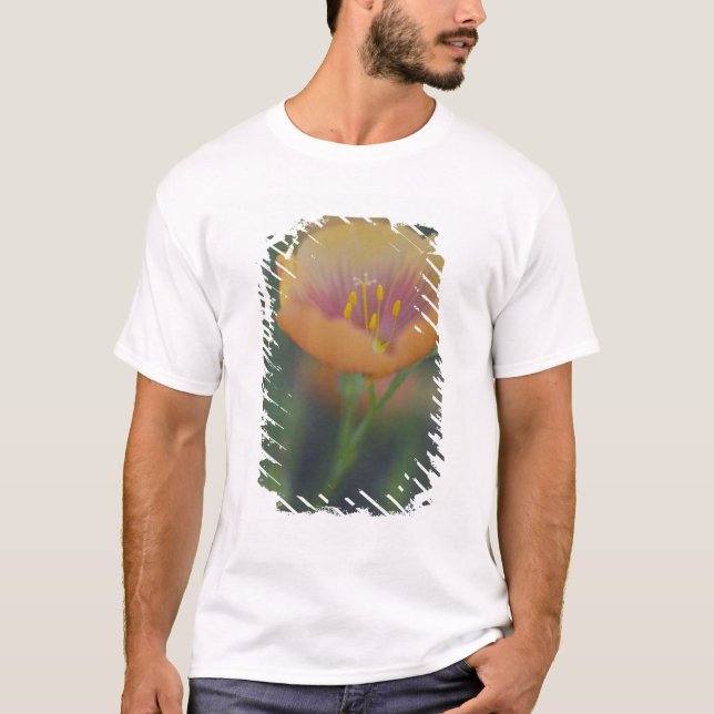 Camiseta Ao sul de Devine Texas ao longo da Interestadual 3 (Frente)