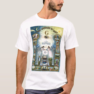 Camiseta Ao t-shirt leve