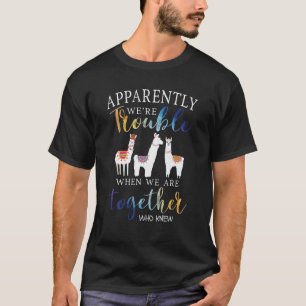 Camiseta Aparentemente Damos Problemas Quando Estamos Junto