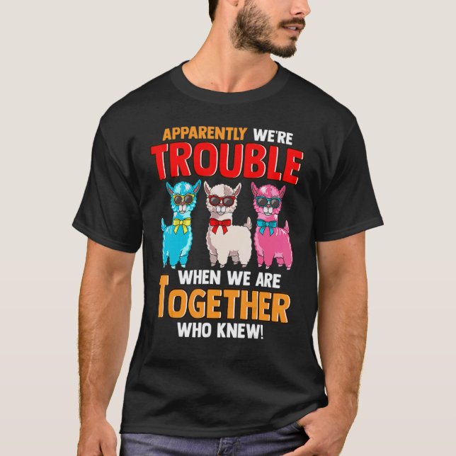 Camiseta Aparentemente Damos Problemas Quando Estamos Junto (Frente)