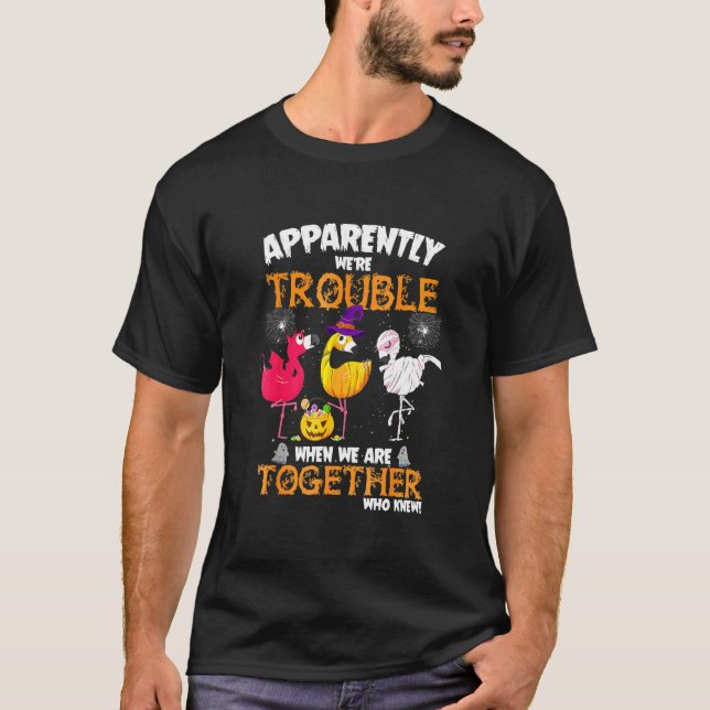 Camiseta Aparentemente Éramos Problema Quando Estávamos Jun (Frente)