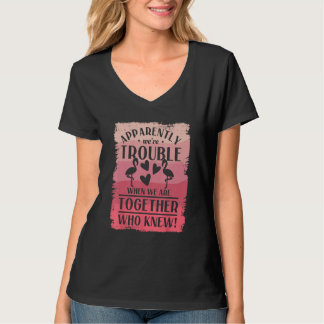 Camiseta Aparentemente, somos problemáticos quando estamos 