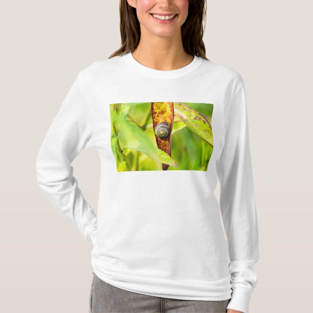Camiseta apego calmo (Frente)