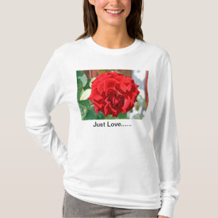 Camiseta Apenas amor ......