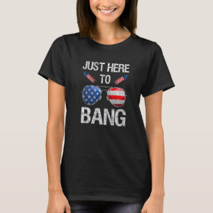 Camiseta Apenas Aqui Para Bang American Sunglass Firework 4