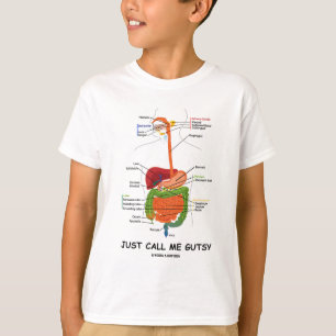 Camiseta Apenas chame-me valente (o humor do sistema