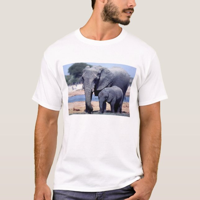 CAMISETA APENAS ELEFANTES (Frente)