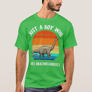 Camiseta Apenas Um Menino Que Ama Brachiosaurus Dinossaur K