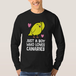 Camiseta Apenas um menino que ama canários passarinho canár