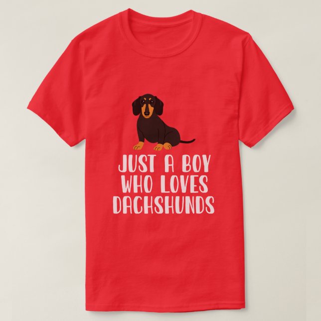 Camiseta Apenas Um Menino Que Ama Dachshances (Frente do Design)