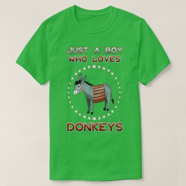 Camiseta Apenas Um Menino Que Ama Donkeys 1 (Frente do Design)
