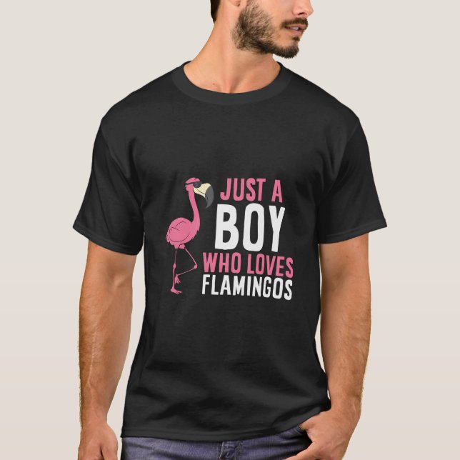 Camiseta Apenas Um Menino Que Ama Flamingos (Frente)