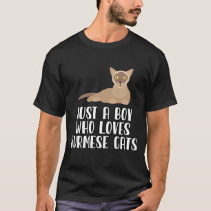 Camiseta Apenas Um Menino Que Ama Gatos Burmaneses