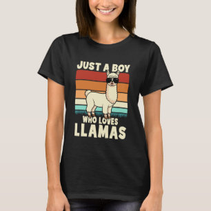 Camiseta Apenas um menino que ama lhamas divertidas lhamas