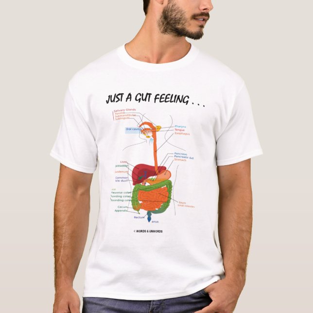 Camiseta Apenas um sentimento de intestino…. (Sistema (Frente)