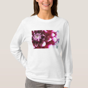 Camiseta Apertado em fotografias de flor de Dalhia com o