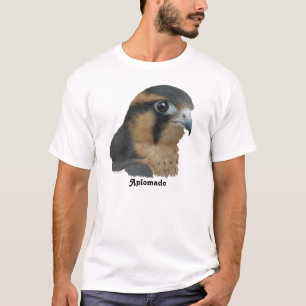 Camiseta Aplomado