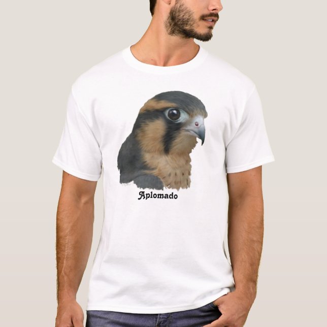 Camiseta Aplomado (Frente)