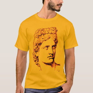 Camiseta Apollo