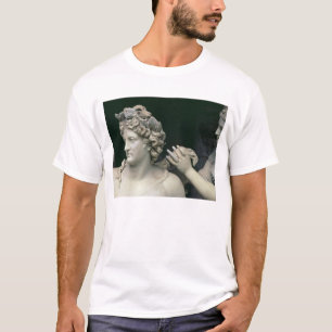 Camiseta Apollo tendeu pelas ninfas, mostrar do detalhe ele