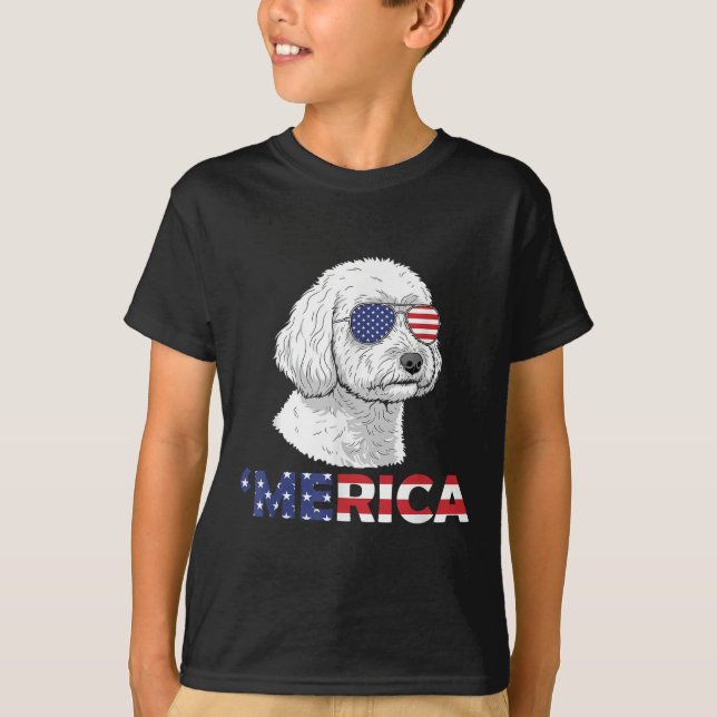 Camiseta Apoo Merica Dia 4 De Julho Da Independência (Frente)