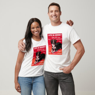 Camiseta Aprender Chinês