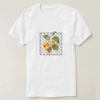 CAMISETA APRICOTES