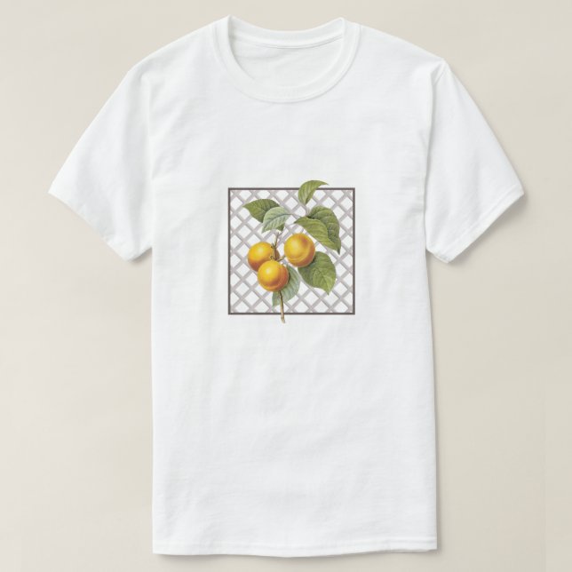 CAMISETA APRICOTES (Frente do Design)