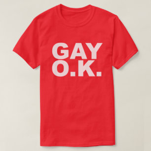 CAMISETA APROVAÇÃO DO GAY. UMA APROVAÇÃO