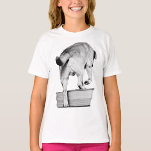 Camiseta Aproximação de outubro