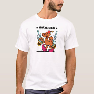 Camiseta Aquário
