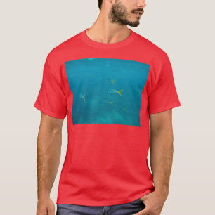 Camiseta Aquário 85