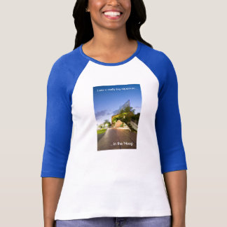 Camiseta Aquário 'no Noog 3/4 de t-shirt do Raglan da Capa