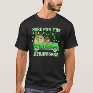 Camiseta Aqui Para As Travessuras Golden Retriever Dia De S