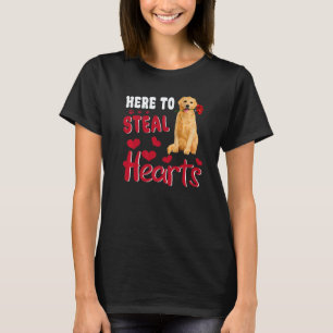 Camiseta Aqui Para Roubar Corações Cachorro Retriever Doura