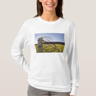 Camiseta Arame farpado enrolado numa fiada de cercas perto